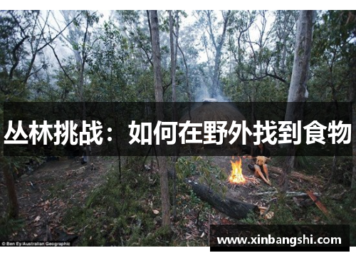 丛林挑战：如何在野外找到食物